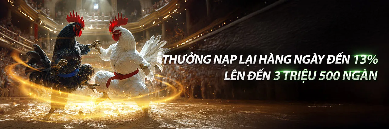 Sân đấu Đá Gà trực tuyến vipwwin